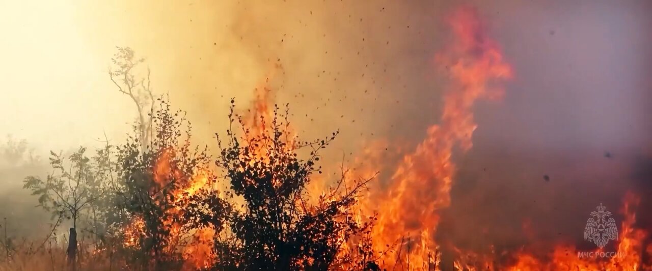 Весна — пора пожаров: не поджигайте траву!