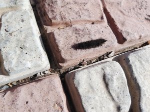 на улице А3 готовимся на площадку