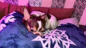 Доброго всем утречка и бодрого начала дня!