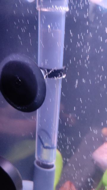 Exeim  предварительный фильтр на забор воды