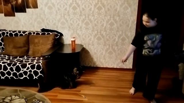 Игрушка для кота из фикс прайс 🔥🔥🔥