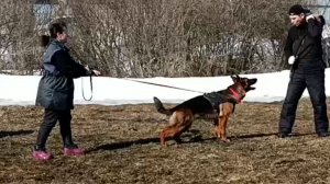 Жужа. Защита