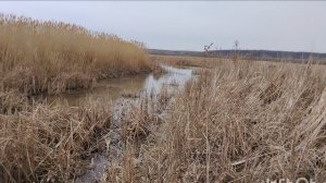 Карась на удочку весной!