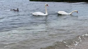 КРЫМ Феодосия Благоустройство Центральной Набережной Идет Полным ходом Вся Правдивость КРЫМСКИЙ