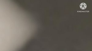 падал Бежит футаж