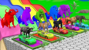 Мультики для детей. Яркие Мультики . Детские мультики для малышей смотреть