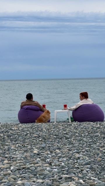 Адлер вот где кайф