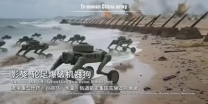 video_2026-04-01_14-45-49