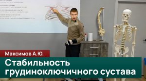 Стабильность грудиноключичного сустава: подключичная и ромбовидные мышцы. Максимов А.Ю.