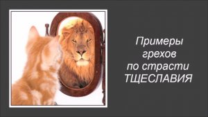 Примеры грехов по страсти тщеславия