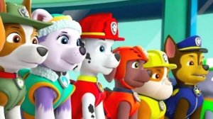 Paw Patrol. Щенячий патруль спасает мирЩенячий патруль готов вместе с тобой решать загадки, играть
