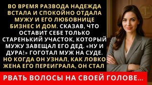Истории из жизни|Во время развода Надежда встала и спокойно отдала|Аудио рассказы|Жизненные истории