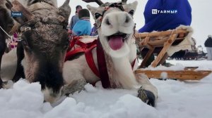 03042026-НОВОСТИ-ТСТ