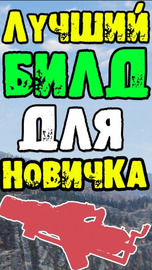 ЛУЧШИЙ БИЛД для НОВИЧКА САМЫЙ ВЫСОКИЙ УРОН И ЭКОНОМИЯ ПАТРОНОВ БИЛД ЗАЛП  #fallout76 #fallout #игры