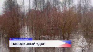 Нижегородские спасатели перешли на усиленный режим работы, чтобы бороться с последствиями паводка