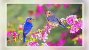 ВЕСНОЙ РАСЦВЕТАЮТ СЕРДЦА! 💖💖💖