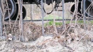 Вагоны грузового поезда Чмэ3