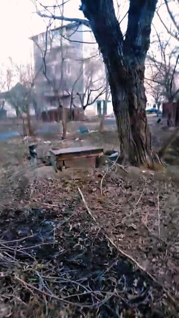 Как пицца попадает к черепашкам-ниндзя? Секрет раскрыт