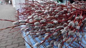 Программа "Главные новости" на 8 канале от 03.04.2026 Часть 2