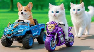 Мама-кошка позаботилась о своих котят подстригла шерсть на ферме и сшила стильную тигриную шапку! 🐾