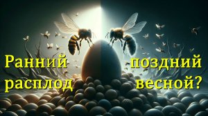 Ранний и поздний расплод весной: что лучше для развития? / Профессор Кашковский