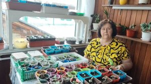 Снег идёт)) А У нас банька сегодня, и ещё полно хлопот.