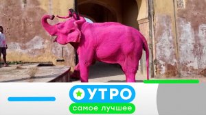 «Утро. Самое лучшее». 3 апреля 2026 года