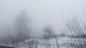 Мои враги смелись сами