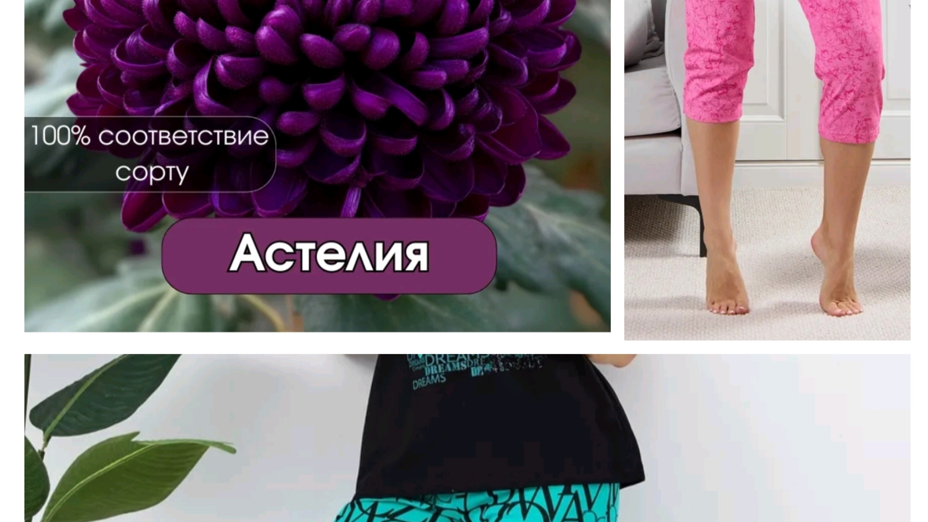 Распаковка с Вайлдберриз, хризантема, костюмы, капсулы и. т. д