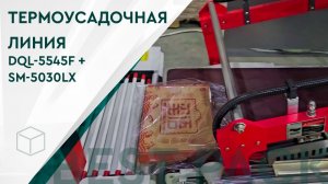 Термоусадочная линия DQL-5545F + SM-5030LX