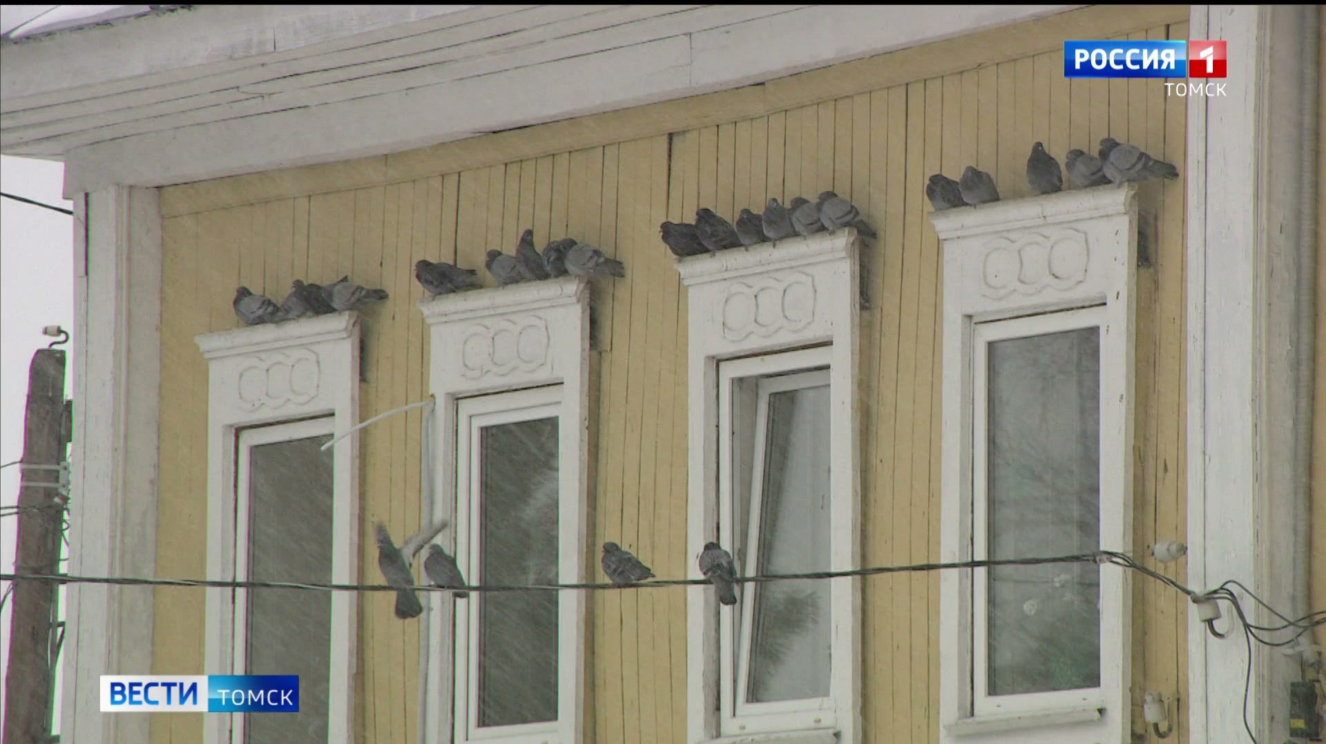 Вести-Томск, выпуск от 03.04.2026 11:30