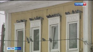 Вести-Томск, выпуск от 03.04.2026 11:30