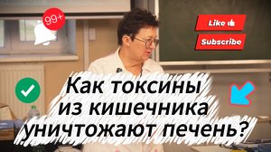 Как жили наши предки без витаминов? Секрет саморегуляции?