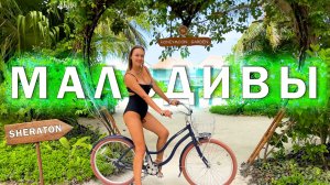 Мальдивы 2026. Шератон 5 звезд за 125 долларов и "Всё включено" - Как это возможно?