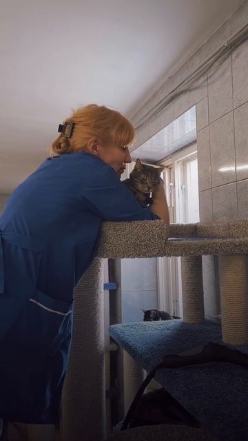 Попытки договориться во время уборки🧽