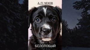 АУДИОКНИГА | Белолобый | Чехов А.П