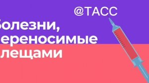 17:00 новости на Trend news