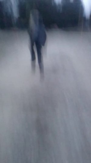 мы гуляем стрим 1