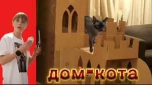 построил настоящий дом для моего кота из картона и со светом!!
