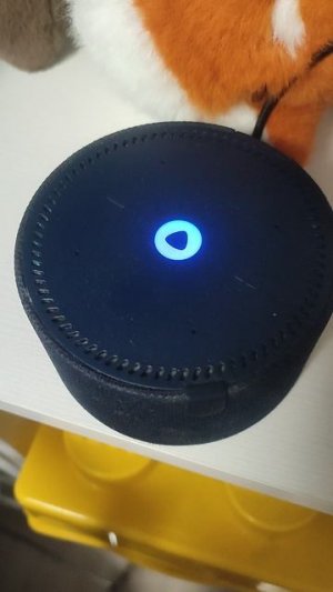 Алиса же не материться