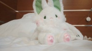 матимотичка