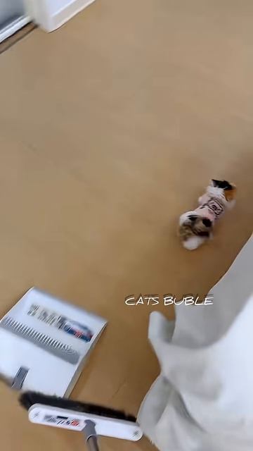 Милая крошка отправляется в маленькое приключение