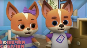 Искатели приключений  - Кошечки-собачки - мультфильм для малышей