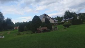 Аптекарский парк. День рождения зубра Ярика, обзор