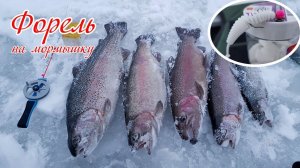 Нереально Крутая Зимняя Рыбалка 2026 Ловим Жирную Форель лучшая Рыбалка 2026 Секретные Места Рыбалка