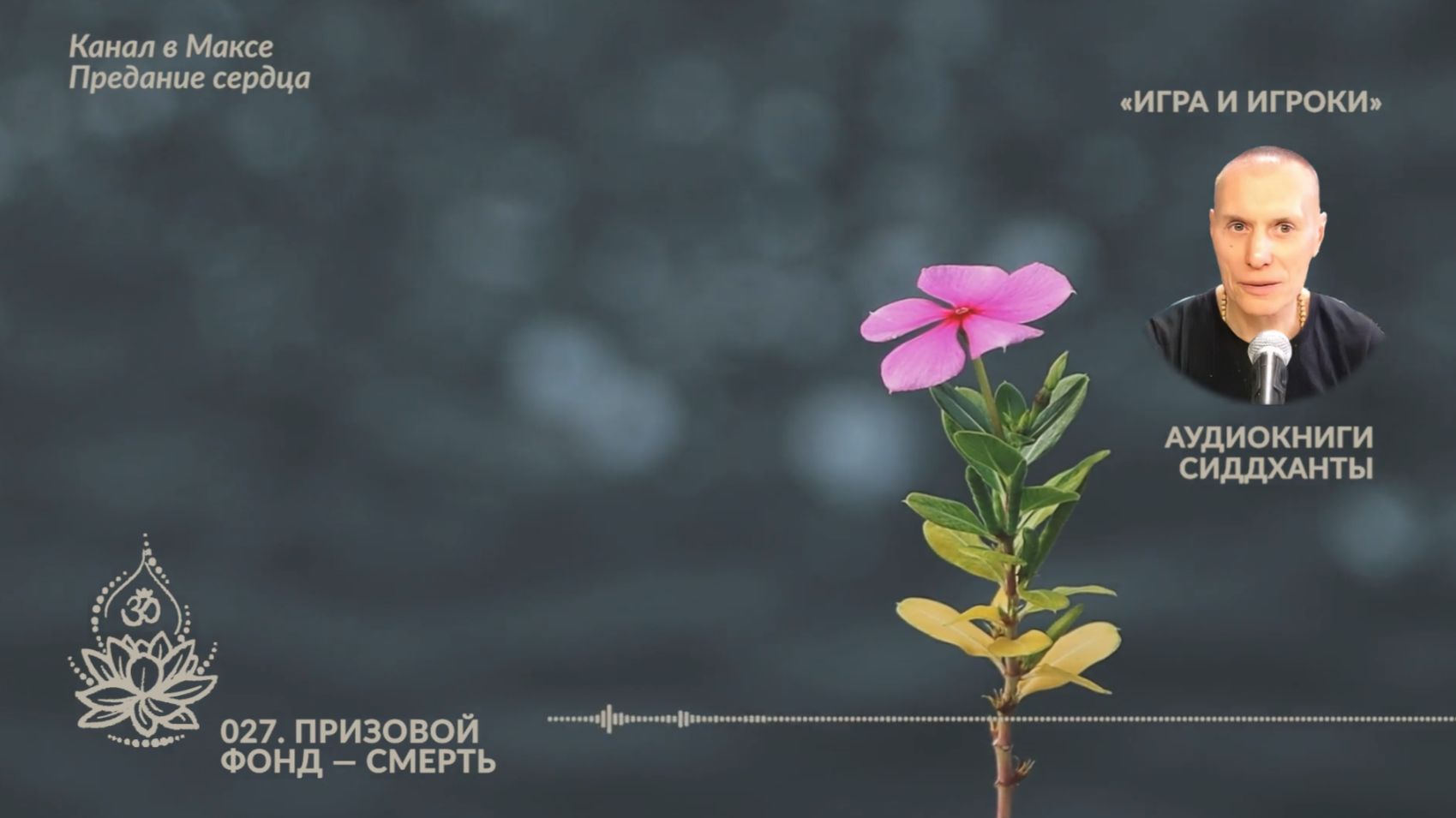 Игра и Игроки. 027. Призовой фонд — смерть. Аудиокниги Сиддханты (Вячеслава Чернина).mp4