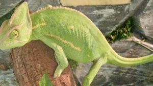 блог 2 часть