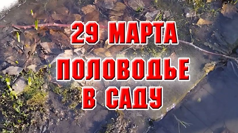 29 марта. Весь участок в воде, но я работаю