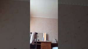 я лопая твои лайки