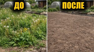 100% Способ как избавиться от сорняков на участке в огороде саду
